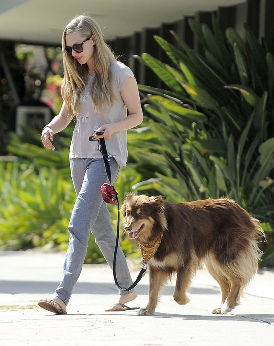 Amanda Seyfried posądzona o NADWAGĘ! (FOTO)