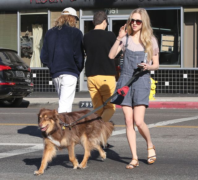 Co jada Amanda Seyfried?  (FOTO)