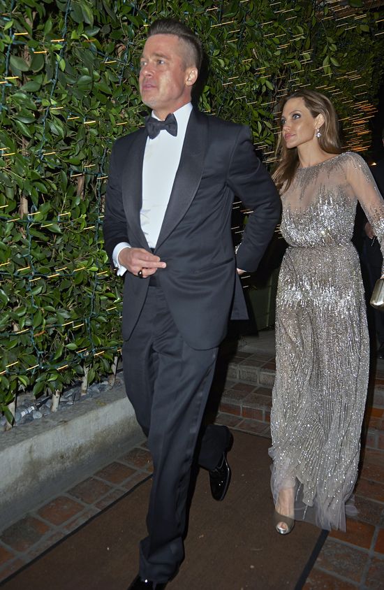 Kolejne dziecko Brangeliny urodzi surogatka?