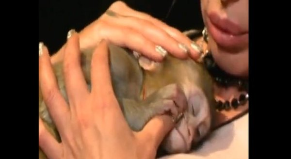 Nowy klip Orzechowskiej: Angie, Baby Can You [VIDEO]