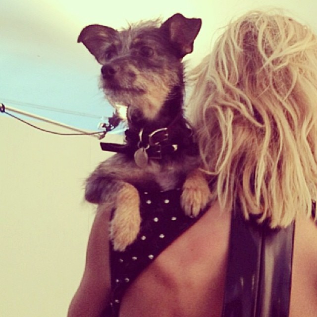 Anja Rubik pokazuje szramę na piersi (FOTO) Anja Rubik pokazuje szramę na piersi (FOTO)