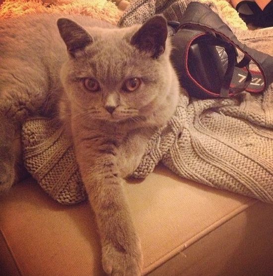 Anna Wendziowska pokazała sypialnię (FOTO) Anna Wendziowska pokazała sypialnię (FOTO)