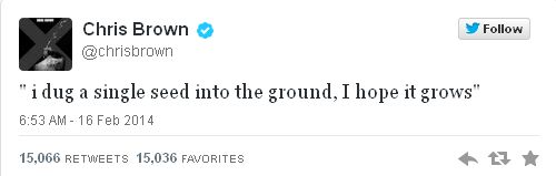 Ariana Grande w czułych objęciach Chrisa Browna (FOTO)