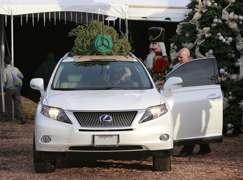 Choinka trafiła już do domu Halle Berry (FOTO)