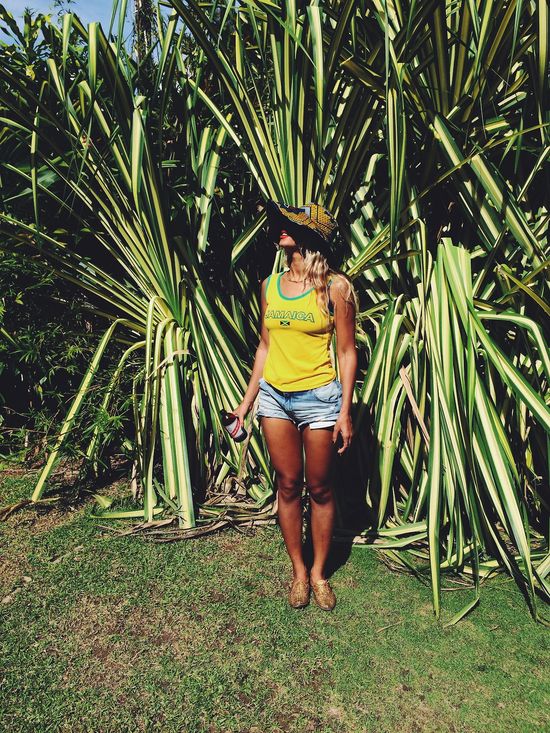 Beyonce chwali się figurą... na drzewie (FOTO) Beyonce chwali się figurą... na drzewie (FOTO)