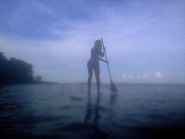 Beyonce chwali się figurą... na drzewie (FOTO) Beyonce chwali się figurą... na drzewie (FOTO)