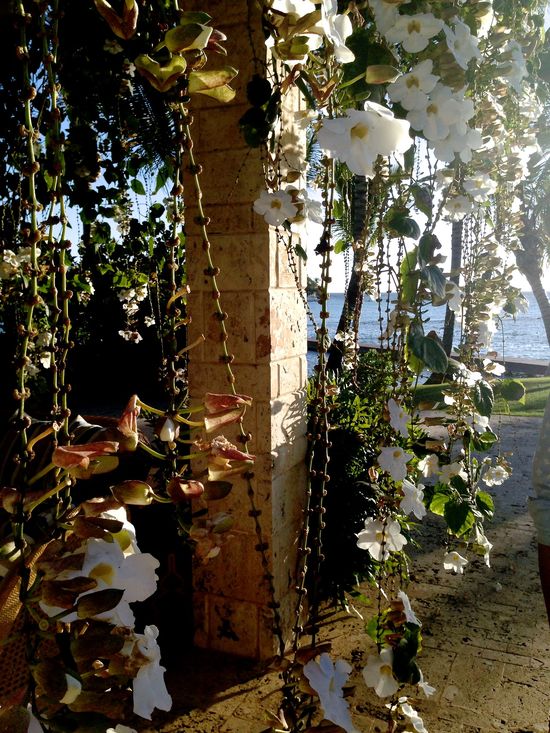 Rajskie wakacje w wydaniu Beyonce (FOTO+VIDEO)