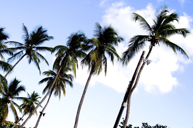 Rajskie wakacje w wydaniu Beyonce (FOTO+VIDEO)
