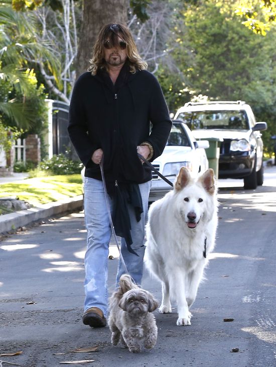 Wiadomo, po kim Miley Cyrus odziedziczyła miłość do zwierząt