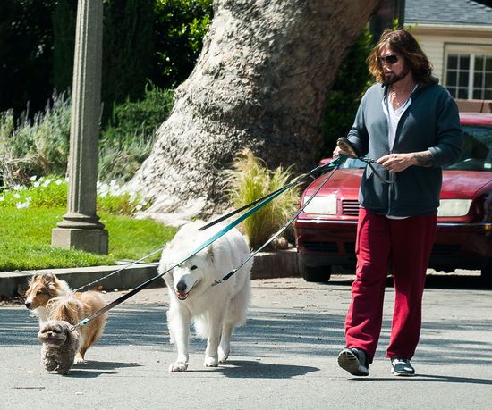 Wiadomo, po kim Miley Cyrus odziedziczyła miłość do zwierząt Wiadomo, po kim Miley Cyrus odziedziczyła miłość do zwierząt