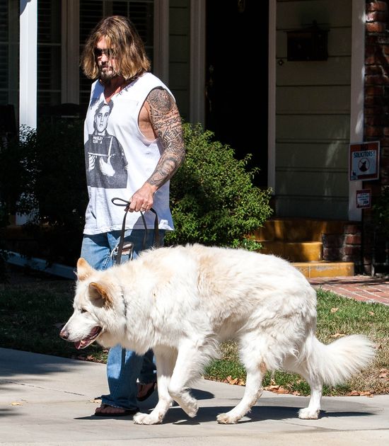 Wiadomo, po kim Miley Cyrus odziedziczyła miłość do zwierząt Wiadomo, po kim Miley Cyrus odziedziczyła miłość do zwierząt