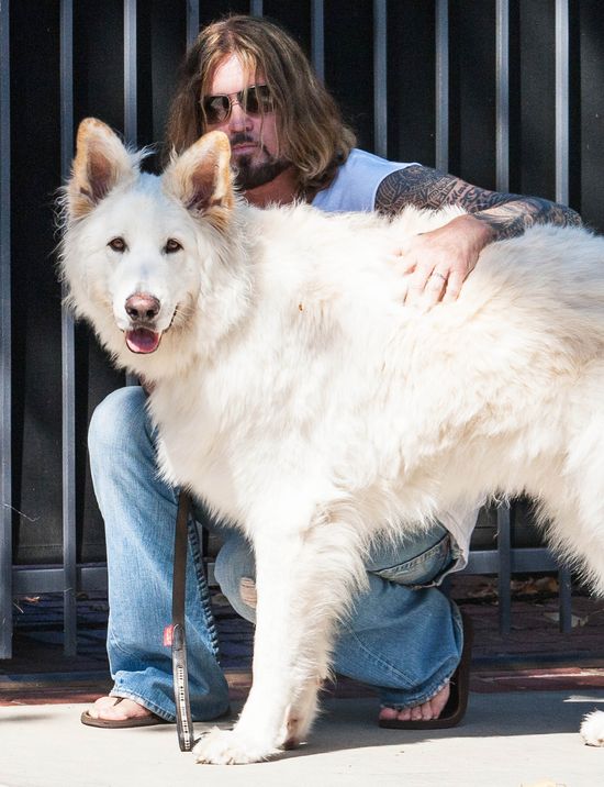 Wiadomo, po kim Miley Cyrus odziedziczyła miłość do zwierząt Wiadomo, po kim Miley Cyrus odziedziczyła miłość do zwierząt