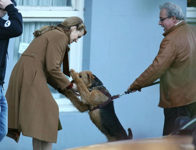 Gdzie się podziała piękna Blake Lively? (FOTO) Gdzie się podziała piękna Blake Lively? (FOTO)