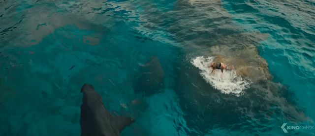 Blake Lively zraniona przez rekina! (VIDEO) Blake Lively zraniona przez rekina! (VIDEO)