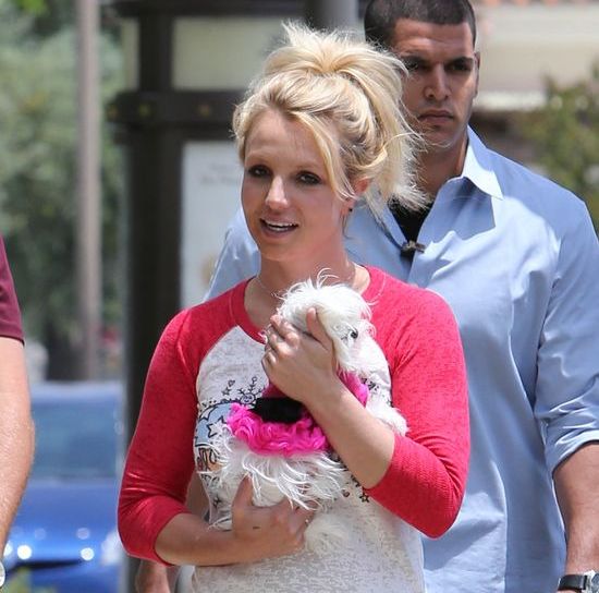 Britney Speras, David Lucado i... mały, biały piesek (FOTO)