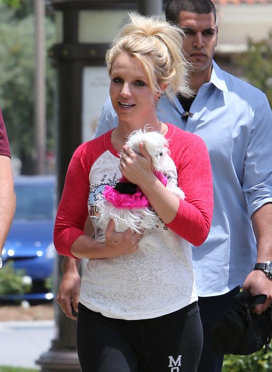 Po tym niusie zaczniesz zazdrościć psom Britney Spears