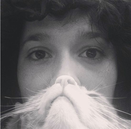 Moda na brodę z kota lub psa (FOTO)