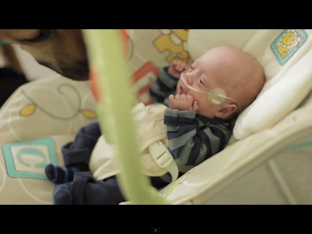 Wzruszająca historia wcześniaka podbija internet [VIDEO]
