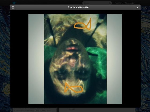 Paris Jackson PRÓBOWAŁA SIĘ ZABIĆ!