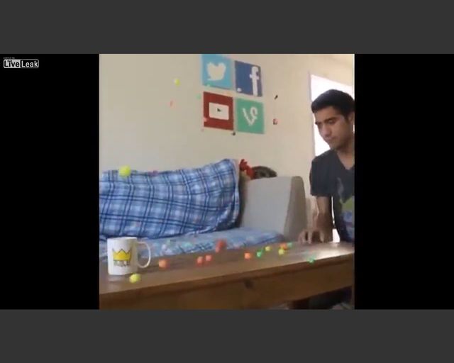 Zach King - król montażu. Genialny! Zach King - król montażu. Genialny!
