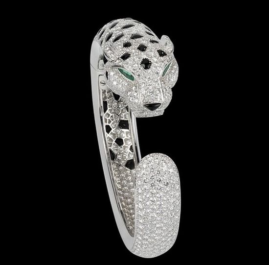 Która kocica chwali się piękną biżuterią? (FOTO)