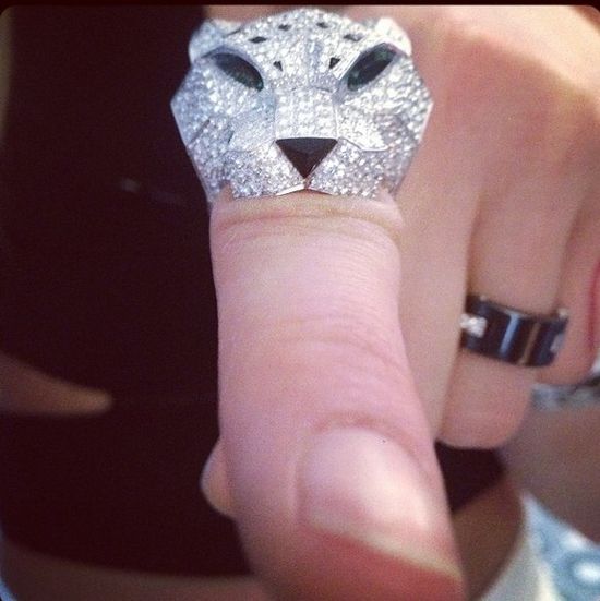 Która kocica chwali się piękną biżuterią? (FOTO)