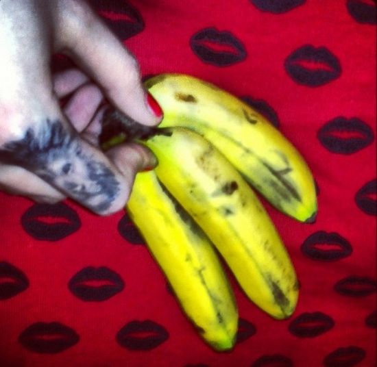 Która kocica chwali się piękną biżuterią? (FOTO)