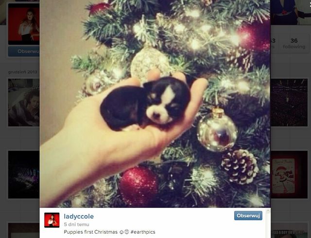 Cheryl Cole bez makijażu wypoczywa po imprezie (FOTO)