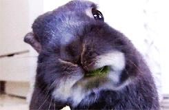 Wiktoria Grycan rozjśniła włosy jak Kim Kardashian (FOTO) Wiktoria Grycan rozjśniła włosy jak Kim Kardashian (FOTO)