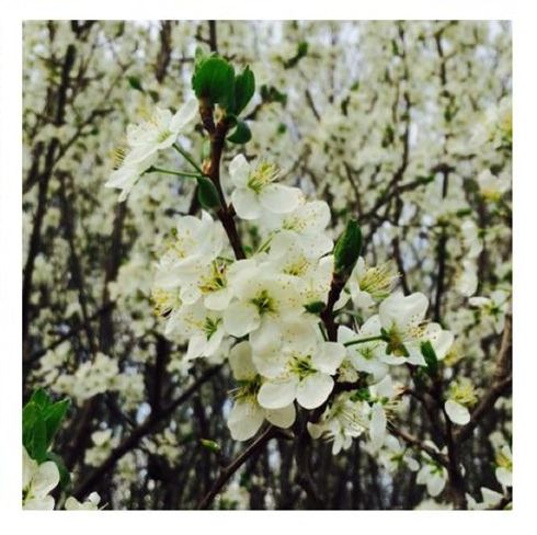 Cleo ma brata bliźniaka! (FOTO) Cleo ma brata bliźniaka! (FOTO)