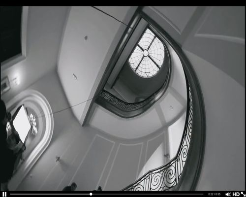 Cleo w woalce i sukni z boa (FOTO) Cleo w woalce i sukni z boa (FOTO)