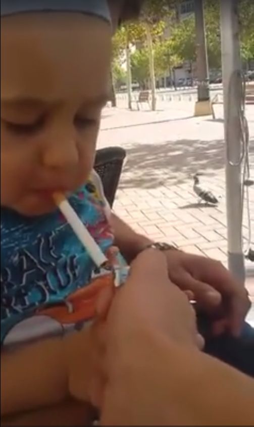 To video zszokowało cały świat! (VIDEO) To video zszokowało cały świat! (VIDEO)