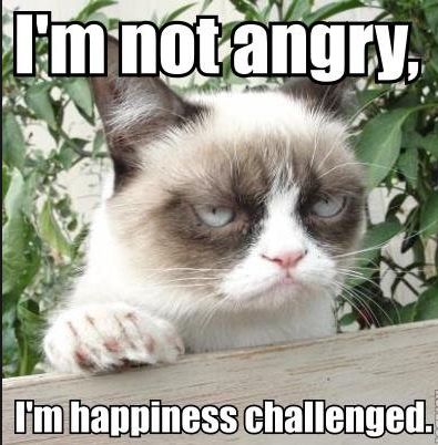 Śmieją się, że North West jest jak Grumpy Cat Śmieją się, że North West jest jak Grumpy Cat