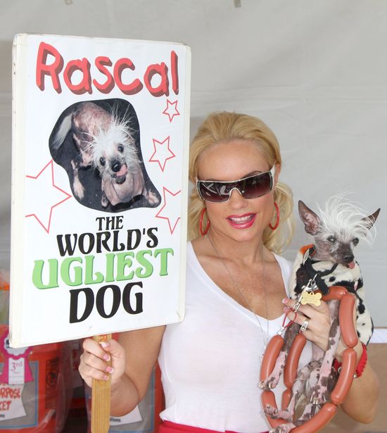 Coco pokazuje najbrzydszego psa na świecie (FOTO) Coco pokazuje najbrzydszego psa na świecie (FOTO)