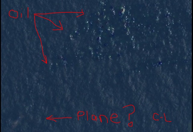 Courtney Love odnalazła zaginiony samolot Malaysian!