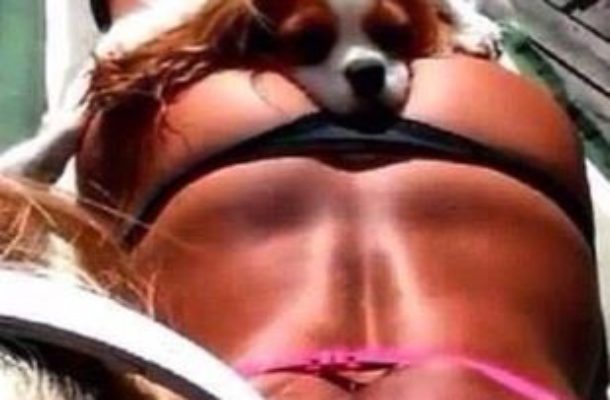 Na takiej pupie położyłby się chętnie nie tylko pies (FOTO)