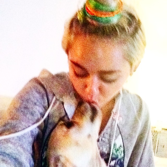 Miley Cyrus śpi z psami (FOTO) Miley Cyrus śpi z psami (FOTO)