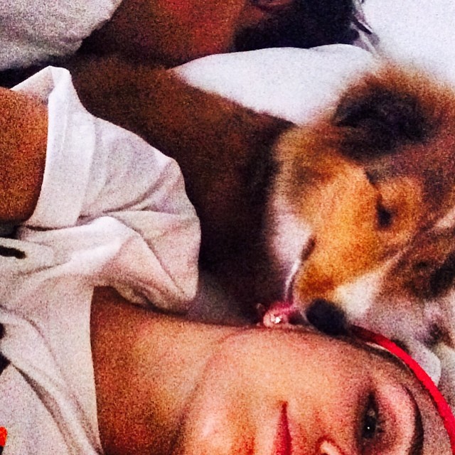 Miley Cyrus śpi z psami (FOTO) Miley Cyrus śpi z psami (FOTO)