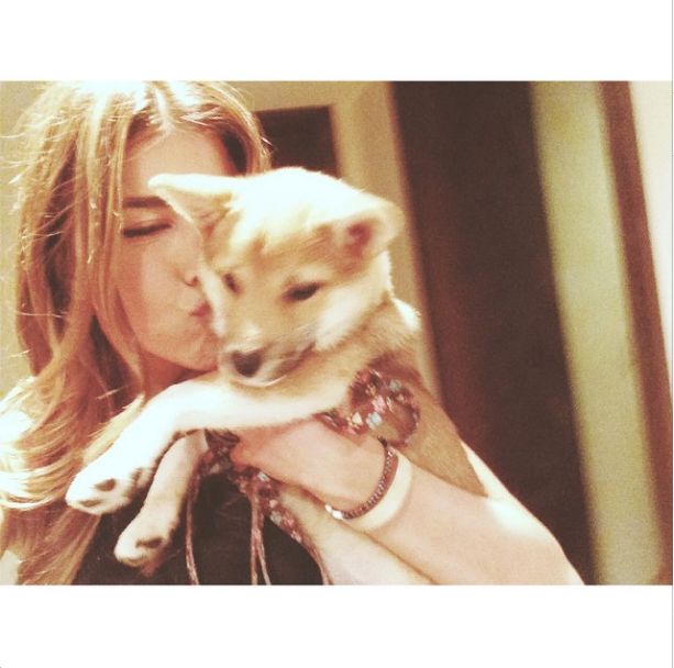 Harry Styles ma nową dziewczynę (FOTO)