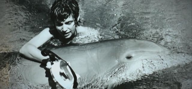 Margaret Lovatt, kobieta, która rozkochała w sobie delfina