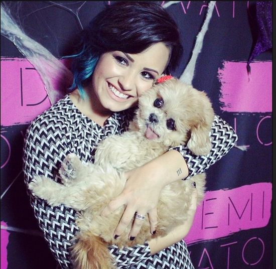 Demi Lovato wzięła ślub w tajemnicy?