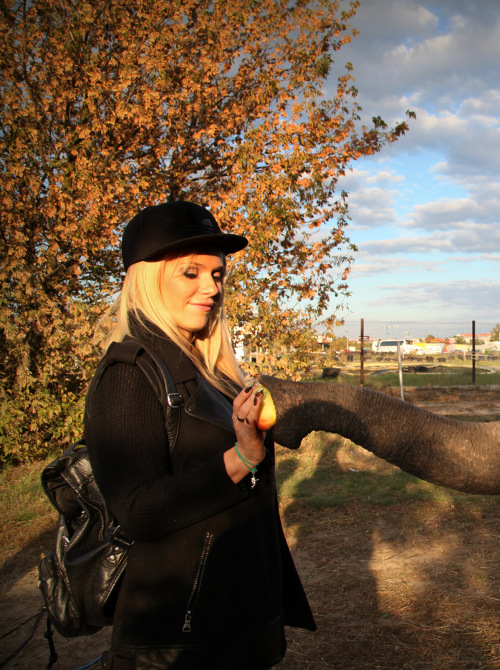 Doda nie stanie przed sądem za pobicie