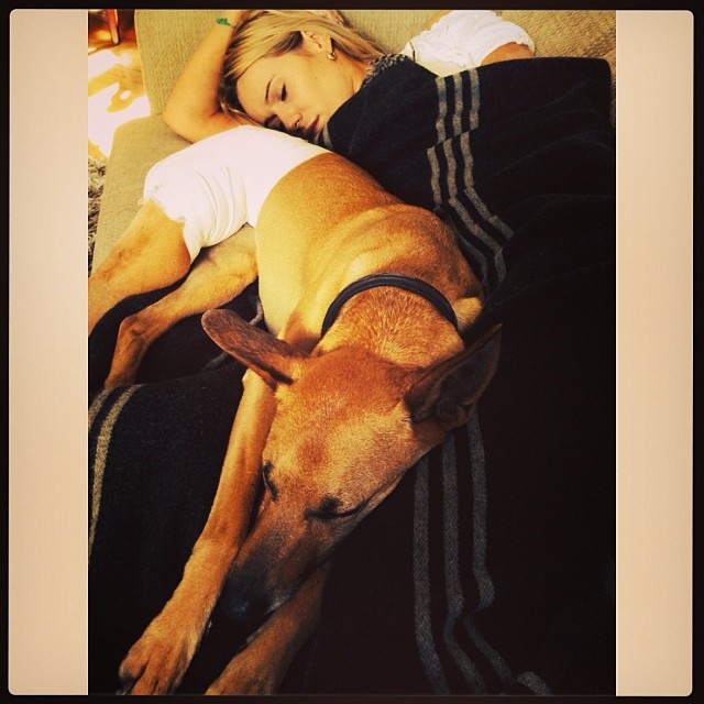 Paryski szyk Dody (FOTO)