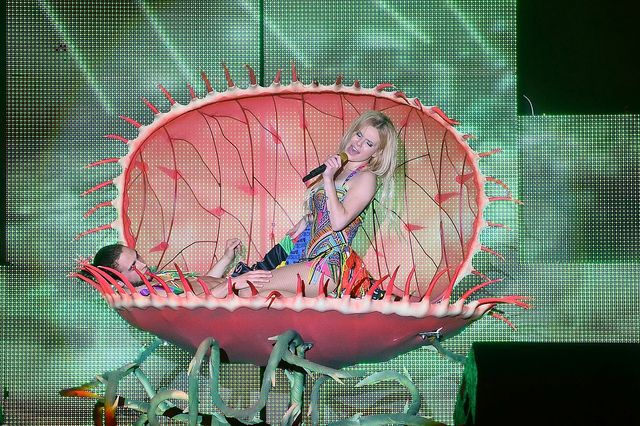 Honey o występie Dody: ciary są na całego