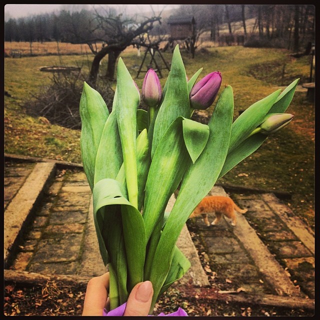 Doda Dzień Kobiet spędziła poza Warszawą (FOTO)