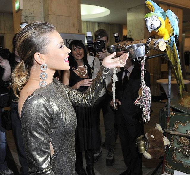 Edyta Herbuś na pokazie mody w złotej sukni (FOTO)