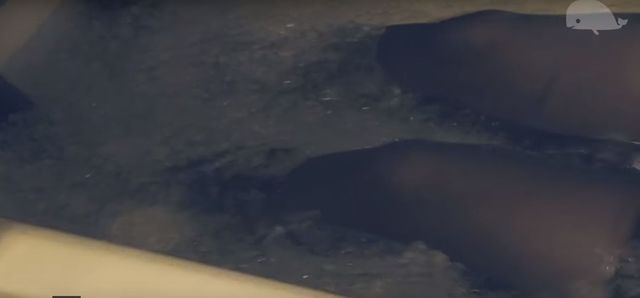 Ewa Farna śpiewa Adele w wannie z lodem (VIDEO) Ewa Farna śpiewa Adele w wannie z lodem (VIDEO)