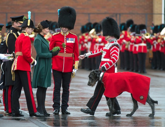 Księżna Middleton świętuje Dzień św. Patryka (FOTO) Księżna Middleton świętuje Dzień św. Patryka (FOTO)