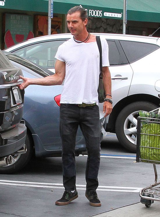 Gavin Rossdale miał kochanka?