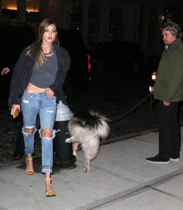 Pies gwiazda drugiego planu na zdjęciach dumnej Gigi Hadid (FOTO)